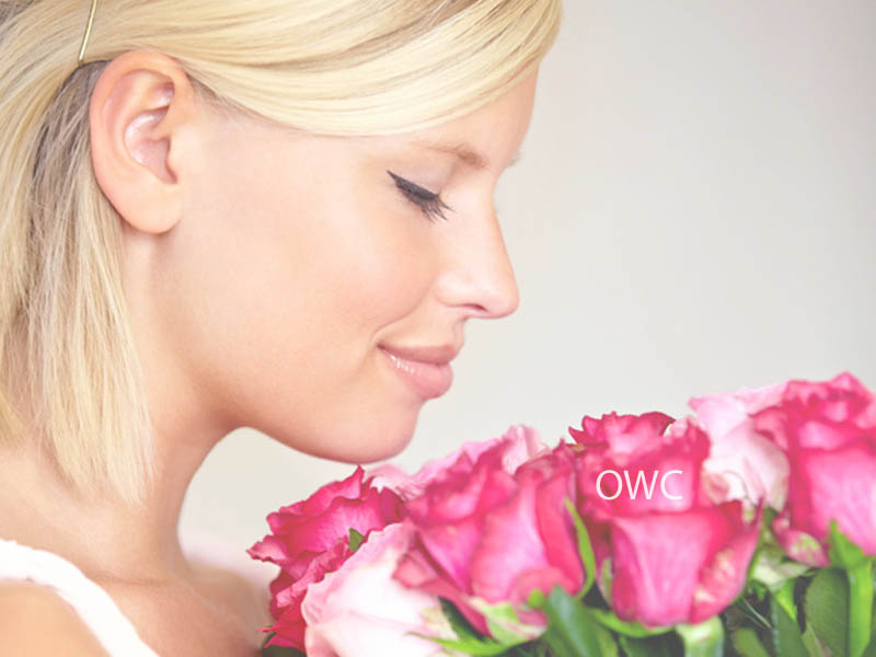 OWC Blog - What is a Domain Speculator
