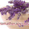 Aromatherapy.cloud is available at OWC Auctions