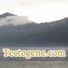 Tectogene.com for sale at OWC Auctions