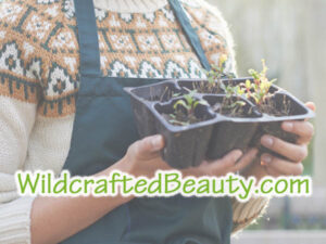 WildcraftedBeauty.com is for sale at OWC Auctions
